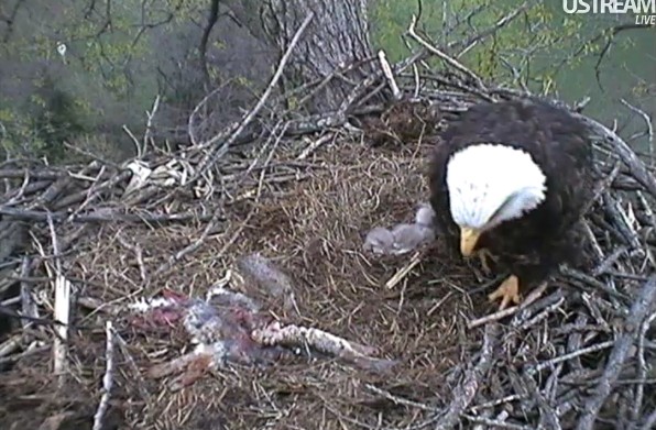 ScreenHunter_49 Mar. 31 20.38.jpg